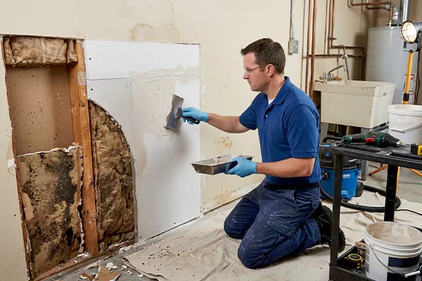Mold and Drywall Repair Edmonds
