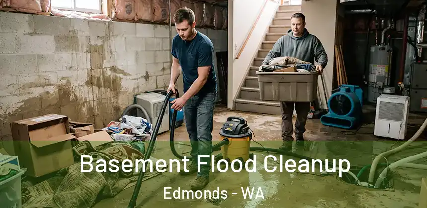  Basement Flood Cleanup Edmonds - WA