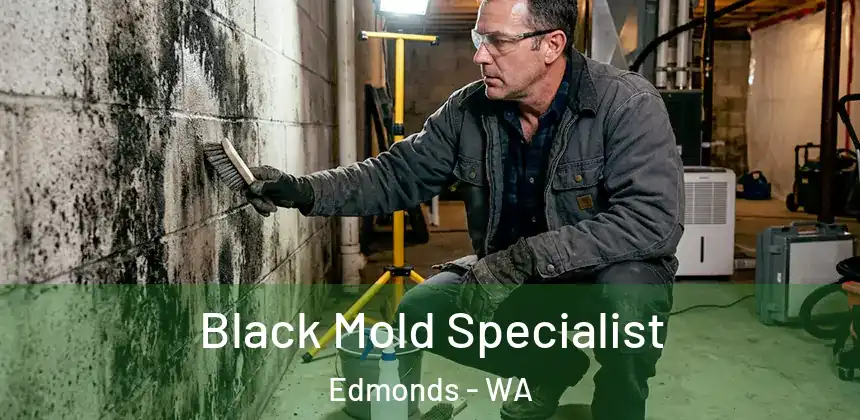  Black Mold Specialist Edmonds - WA