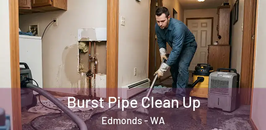  Burst Pipe Clean Up Edmonds - WA
