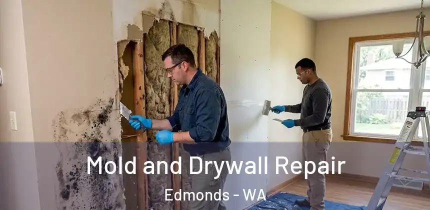  Mold and Drywall Repair Edmonds - WA