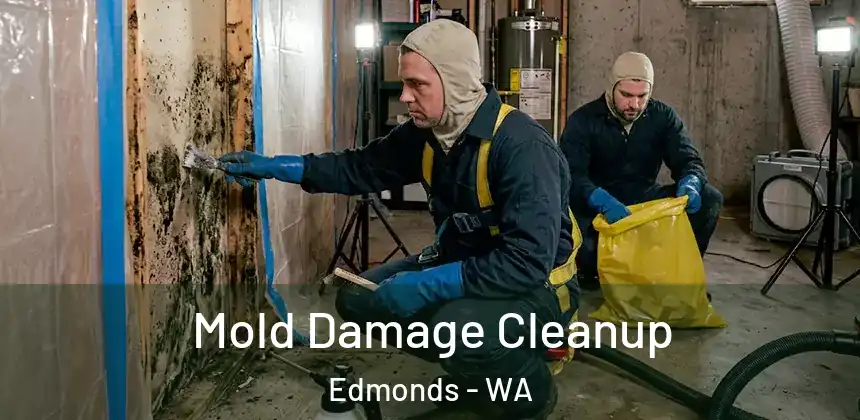  Mold Damage Cleanup Edmonds - WA