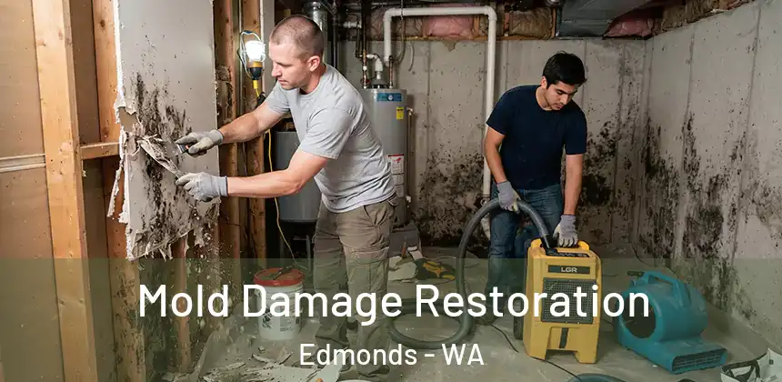  Mold Damage Restoration Edmonds - WA
