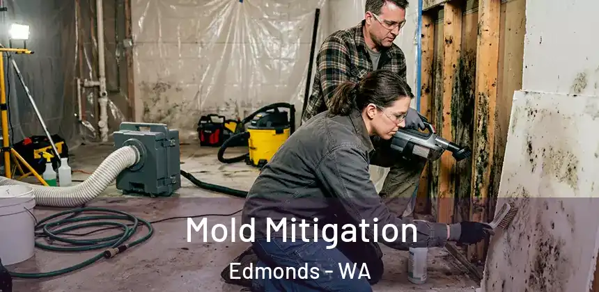  Mold Mitigation Edmonds - WA
