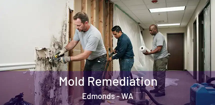  Mold Remediation Edmonds - WA