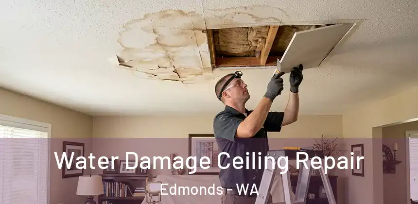  Water Damage Ceiling Repair Edmonds - WA