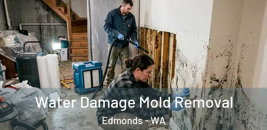  Water Damage Mold Removal Edmonds - WA