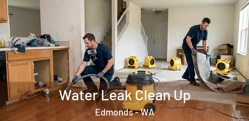  Water Leak Clean Up Edmonds - WA